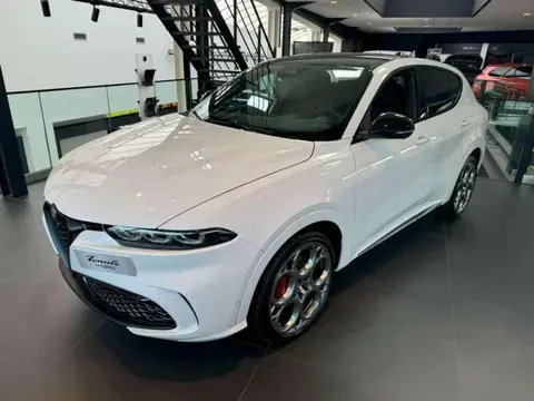 Used ALFA ROMEO TONALE Hybrid 2024 Ad 