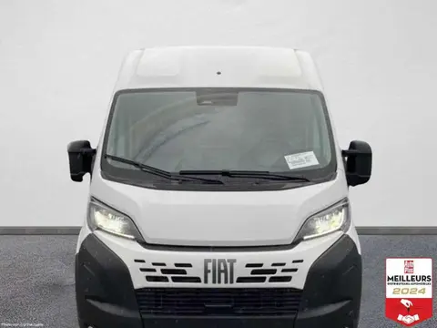 Used FIAT DUCATO Diesel 2024 Ad 