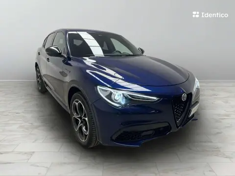 Used ALFA ROMEO STELVIO Diesel 2021 Ad 