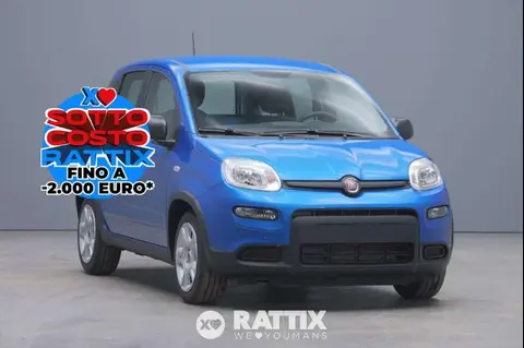 Used FIAT PANDA Hybrid 2024 Ad 