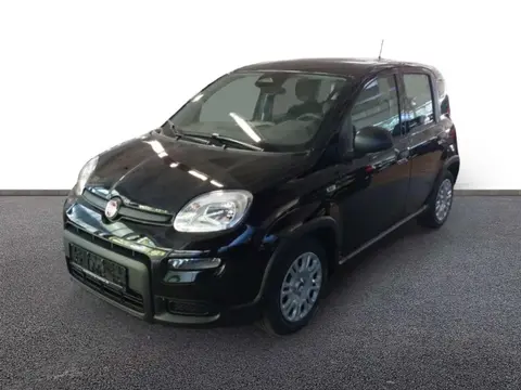 Used FIAT PANDA Petrol 2024 Ad 