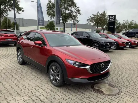 Annonce MAZDA CX-30 Hybride 2024 d'occasion 