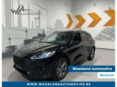 Used FORD KUGA Petrol 2023 Ad 