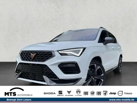 Annonce CUPRA ATECA Essence 2024 d'occasion 