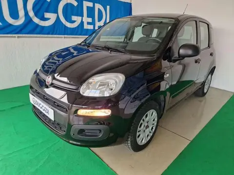 Annonce FIAT PANDA GPL 2019 d'occasion 