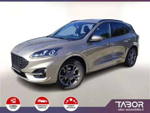 Annonce FORD KUGA Diesel 2020 d'occasion 