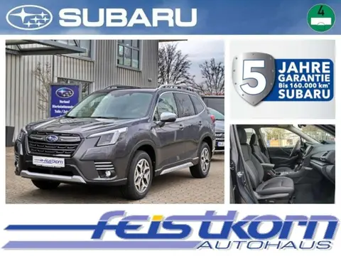 Annonce SUBARU FORESTER Essence 2024 d'occasion 