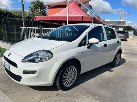 Used FIAT PUNTO Diesel 2018 Ad 