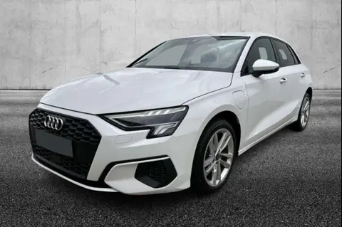 Used AUDI A3 Hybrid 2022 Ad 