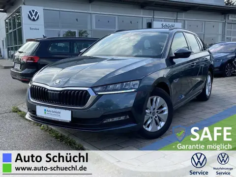 Used SKODA OCTAVIA Diesel 2021 Ad 