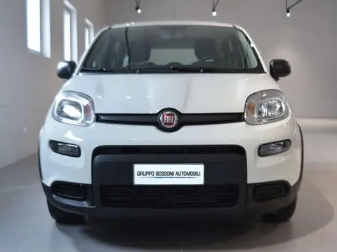 Used FIAT PANDA Hybrid 2022 Ad 