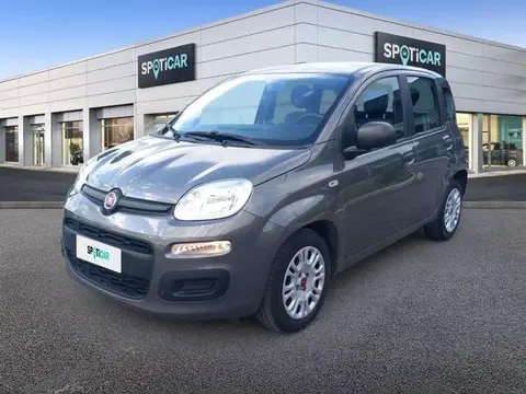 Annonce FIAT PANDA Essence 2021 d'occasion 