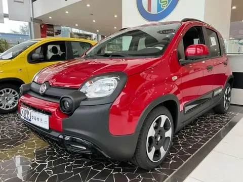 Annonce FIAT PANDA Hybride 2024 d'occasion 