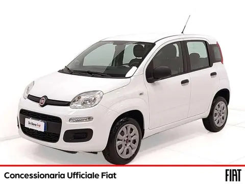 Annonce FIAT PANDA  2015 d'occasion 