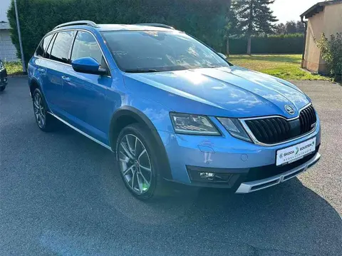 Annonce SKODA OCTAVIA Diesel 2019 d'occasion 