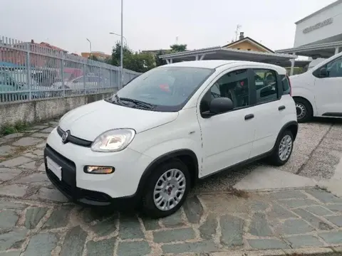 Annonce FIAT PANDA Hybride 2023 d'occasion 