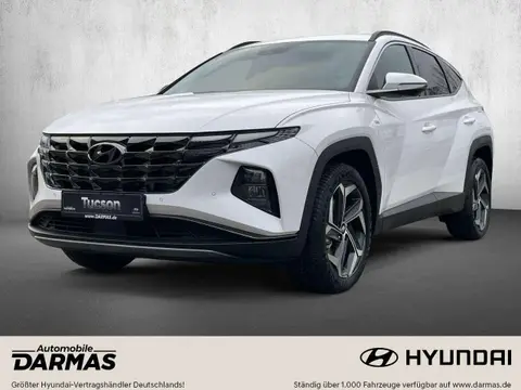 Used HYUNDAI TUCSON Petrol 2024 Ad 