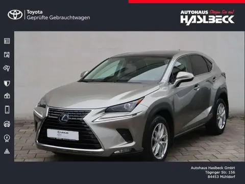 Annonce LEXUS NX Hybride 2020 d'occasion 