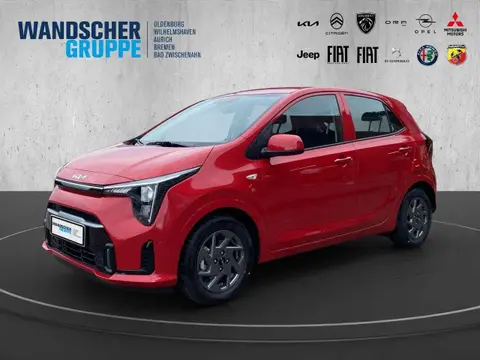 Annonce KIA PICANTO Essence 2024 d'occasion 