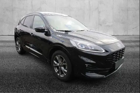 Used FORD KUGA Hybrid 2020 Ad 