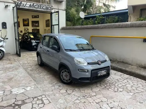 Used FIAT PANDA Hybrid 2023 Ad 