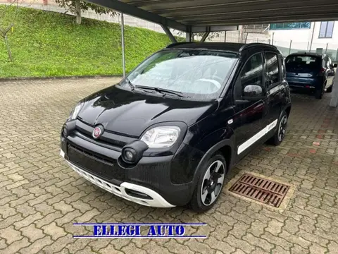 Used FIAT PANDA Hybrid 2024 Ad Italy