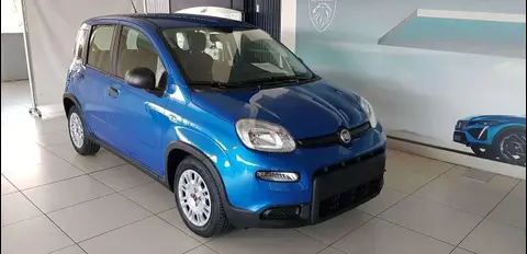 Used FIAT PANDA Petrol 2024 Ad 