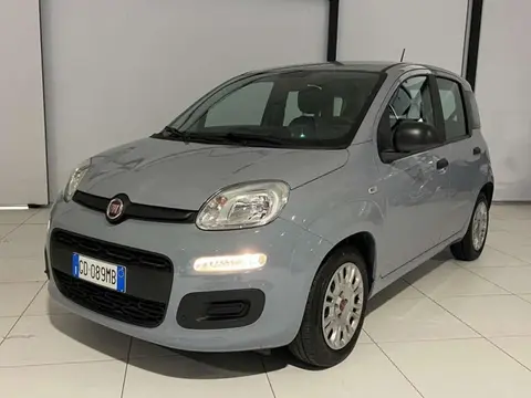 Used FIAT PANDA Hybrid 2021 Ad 