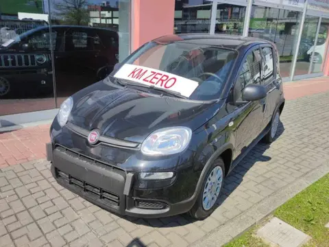 Annonce FIAT PANDA Hybride 2024 d'occasion 