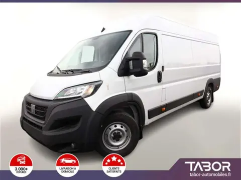 Used FIAT DUCATO Diesel 2024 Ad 