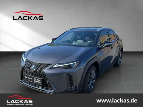 Annonce LEXUS UX Hybride 2023 d'occasion 