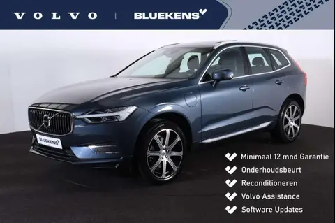 Annonce VOLVO XC60 Hybride 2018 d'occasion 