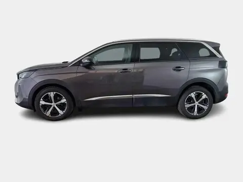 Used PEUGEOT 5008 Diesel 2023 Ad 