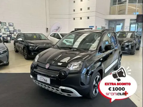 Annonce FIAT PANDA Hybride 2024 d'occasion 