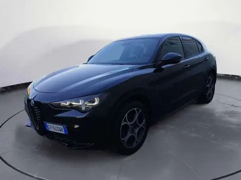 Used ALFA ROMEO STELVIO Diesel 2023 Ad 