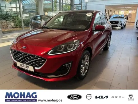 Used FORD KUGA Diesel 2020 Ad 