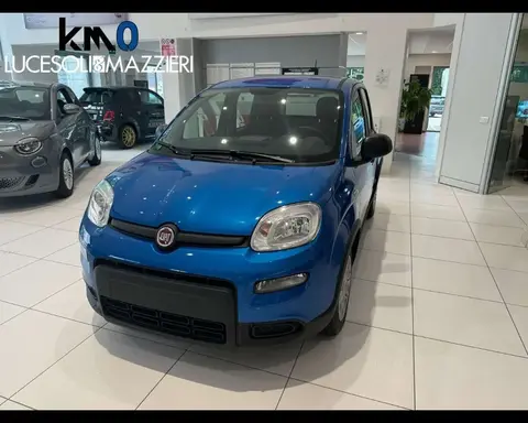 Annonce FIAT PANDA  2024 d'occasion 