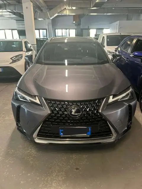 Used LEXUS UX Hybrid 2021 Ad 