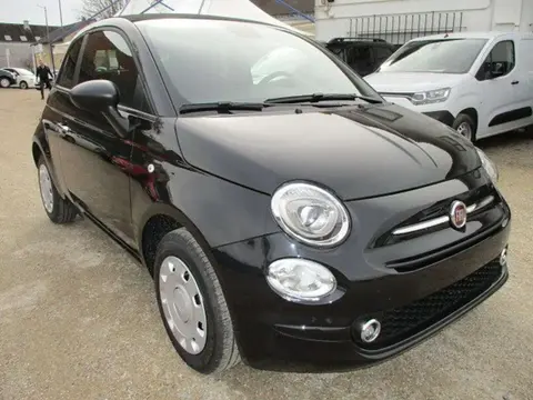 Used FIAT 500C Petrol 2023 Ad 