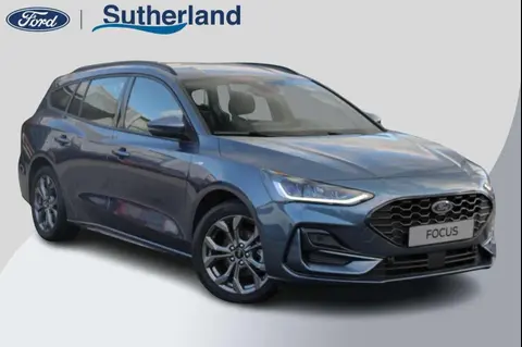 Annonce FORD FOCUS Hybride 2023 d'occasion 