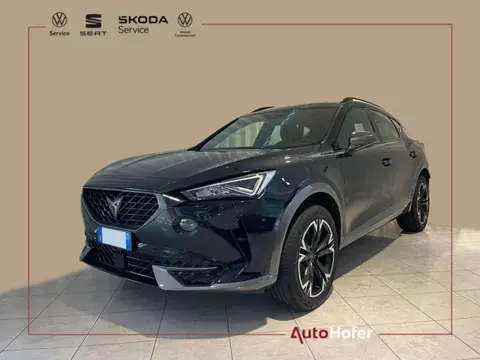 Annonce CUPRA FORMENTOR Diesel 2023 d'occasion 