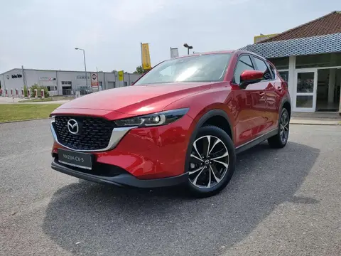 Annonce MAZDA CX-5 Essence 2024 d'occasion 