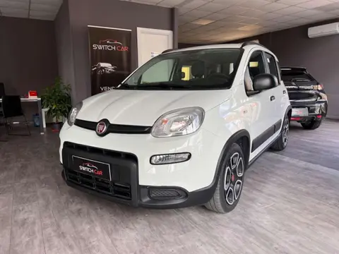 Used FIAT PANDA Hybrid 2022 Ad 