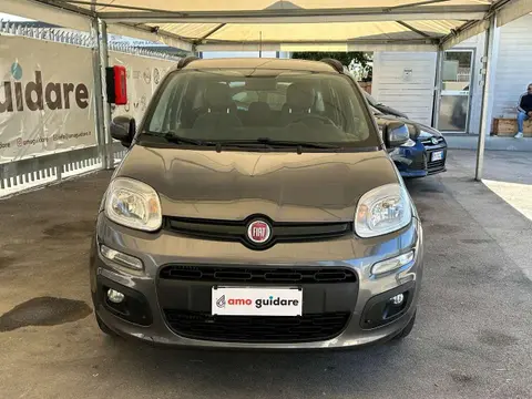 Annonce FIAT PANDA Diesel 2018 d'occasion 