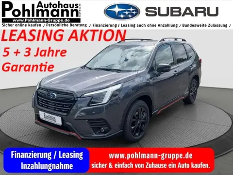 Used SUBARU FORESTER Petrol 2024 Ad 