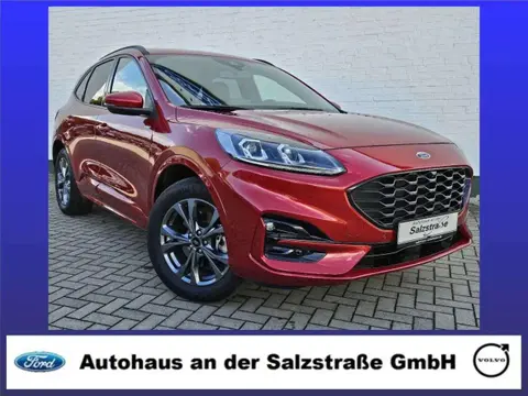 Used FORD KUGA Hybrid 2021 Ad 