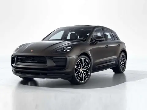 Annonce PORSCHE MACAN Essence 2024 d'occasion 