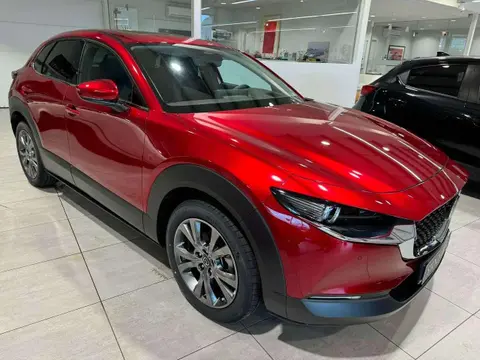 Annonce MAZDA CX-30 Essence 2024 d'occasion 