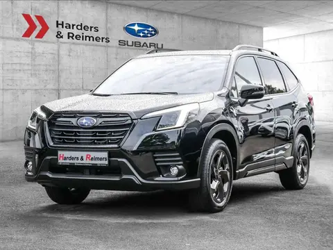 Annonce SUBARU FORESTER Essence 2024 d'occasion 