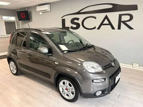 Annonce FIAT PANDA Hybride 2022 d'occasion 